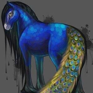 Meet your Posher, Kansas